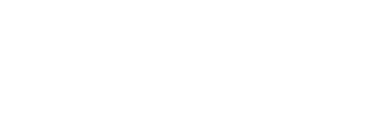 BOBEL Professional logo