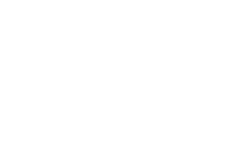 Desire Moda logo